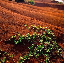 《我的同事不对劲》Steam特别好评 御姐萌妹全要